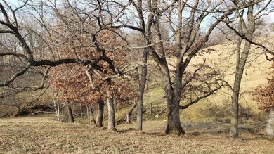 TBD Aurora Rd, Preble Township, MN 55954 - photo 5