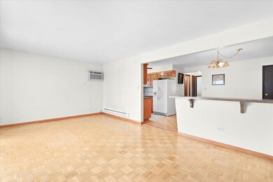 7321 W 85th Place unit 3A, Bridgeview, IL 60455 - photo 4