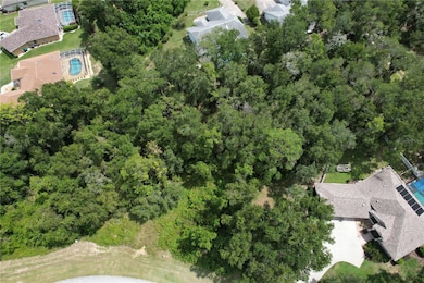 2856 E Chartwell Cir, Hernando, FL 34442 - photo 5