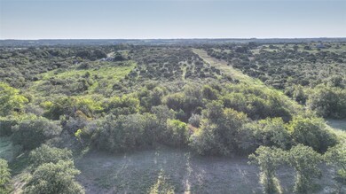 7800 Boswell Ct, Lipan, TX 76462 - photo 6