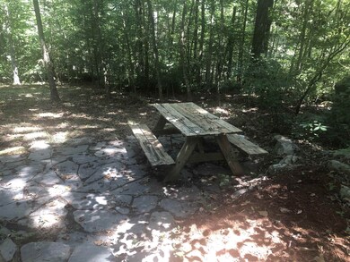 460 Moore Mountain Rd, Pittsboro, NC 27312 - photo 5