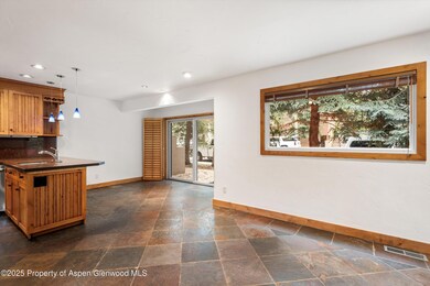 814 W Bleeker St unit E5, Aspen, CO 81611 - photo 5