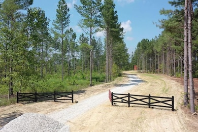 0 Huffman Rd unit 24251649, Sunbright, TN 37872 - photo 4