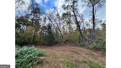 106 Highway 136 E, Dawsonville, GA 30534 - photo 3