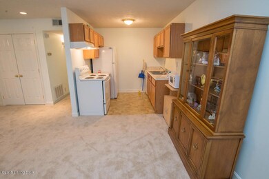 169 Central Blvd unit 36, Mount Washington, KY 40047 - photo 5