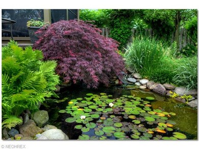 Water feature, koi pond