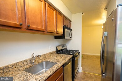 11216 Chestnut Grove Square unit 119, Reston, VA 20190 - photo 3