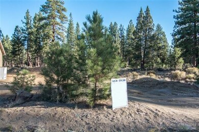 462 N Village Meadows Rd, Sisters, OR 97759 - photo 3