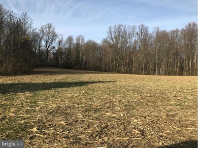 3872 Old Birdsville Rd, Harwood, MD 20776 - photo 4