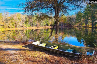 0 Whisphering Pines Rd, Ridge Spring, SC 29129 - photo 3