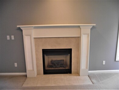 GAS LOG FIREPLACE WITH MANTLE