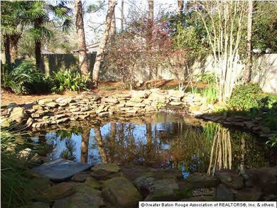 Pond & waterfall