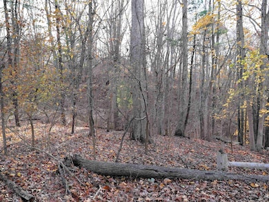 TBD Overlook Ln, Radford, VA 24141 - photo 6