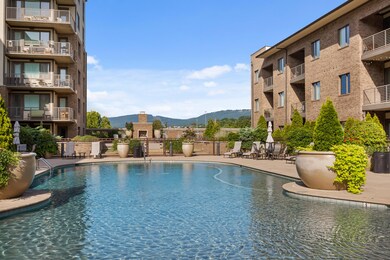 Resort Style Pool
