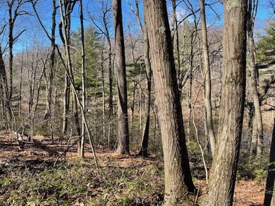 118 Ramshorn Rd, Charlton, MA 01507 - photo 7