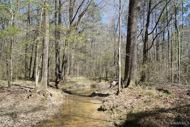 200 Old Barnes Rd, Pine Level, AL 36065 - photo 6