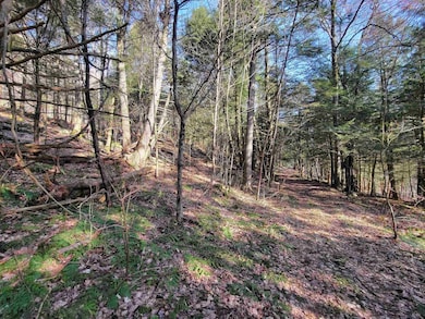 1890-A Bristol Rd, Monkton, VT 05443 - photo 4