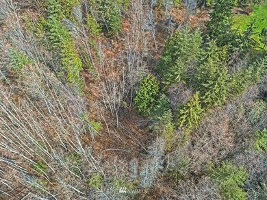 unlisted-address, Stanwood, WA 98292 - photo 3