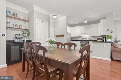 The Fitz at Rockville Town Center, Rockville, MD 20850 - photo 4