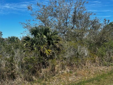 19093 NW 302nd St, Okeechobee, FL 34972 - photo 3