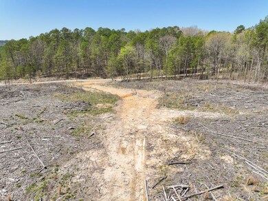 Brushy Ridge Rd, Smithville, OK 74957 - photo 7