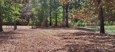 14377 Laramie Trail, Montgomery, TX 77316 - photo 3