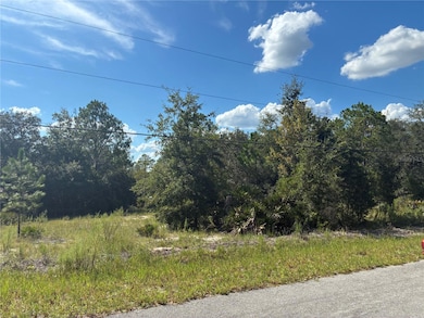 0 SW South Wind Ct unit MFROM709010, Dunnellon, FL 34431 - photo 2
