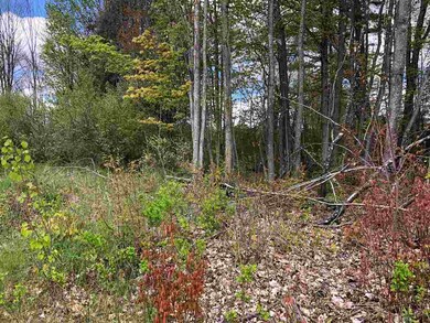 314 Dover Rd, Chichester, NH 03258 - photo 6