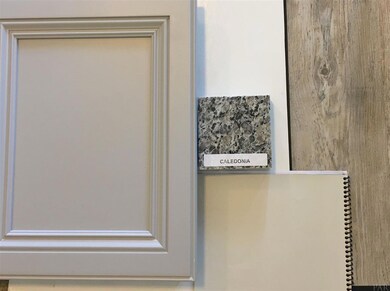 Cabinets, Granite, Paint and flooring colors