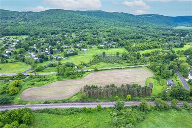 00 Cr-64 Lot D, Big Flats, NY 14903 - photo 4
