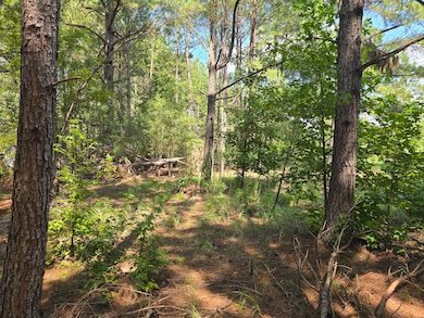 15 Dyches Rd, Grovetown, GA 30813 - photo 7