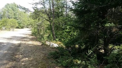 Lot 2 Wood Tick Ln, Tomahawk, WI 54487 - photo 3