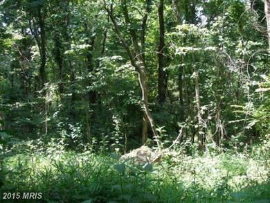 LOT 16 Bragg Dr, Front Royal, VA 22630 - photo 2