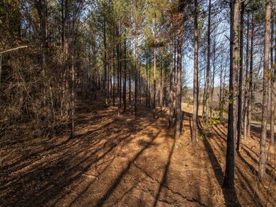 01 Concord Church Rd unit 1, Pickens, SC 29671 - photo 4