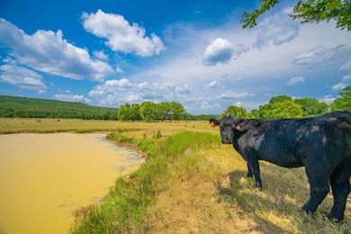 21540 State Highway 31, Quinton, OK 74561 - photo 2