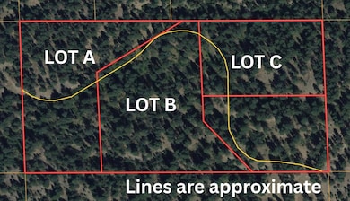 NKA Lower Weaver Lots A B C Way, Deer Park, WA 99006 - photo 2