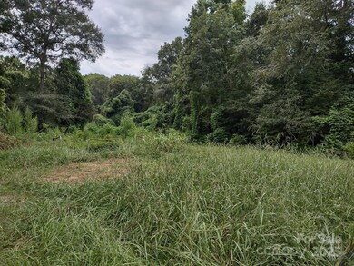 335 S Fork Meadows Rd, Gastonia, NC 28052 - photo 2