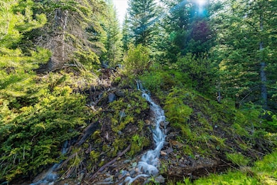 0 Griffin Creek Rd, Marion, MT 59925 - photo 3