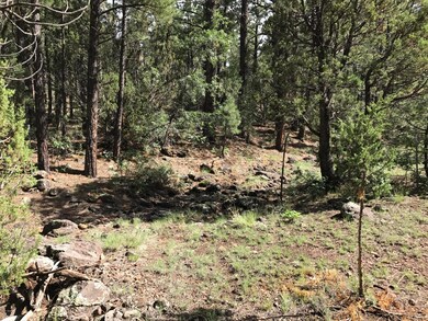 Full of trees