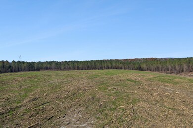 0 Ben Mosley Cir unit 25735821, Summerville, GA 30747 - photo 7