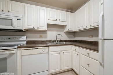 Grand Ohio Condominiums unit 723, Chicago, IL 60611 - photo 5