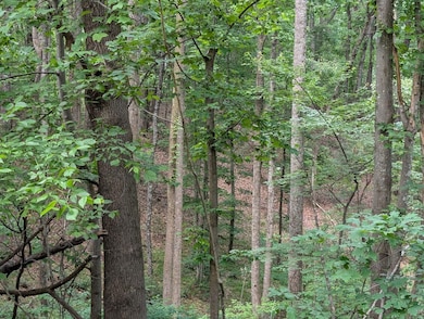 image000jk000
