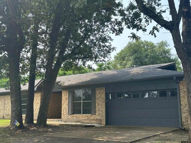 10668 Morris Rd, Tyler, TX 75707 - photo 6