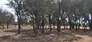 2709 S Main St, Weatherford, TX 76087 - photo 7