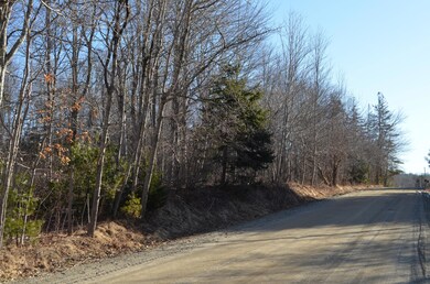 DSC_0009 Road Frontage