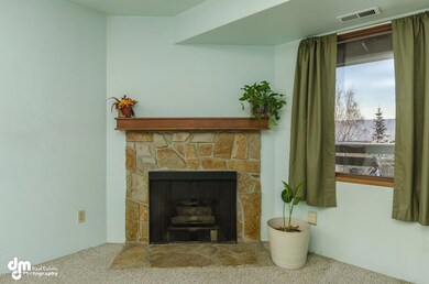 Sentry Fireplace