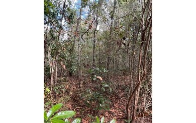 LOT47 Trenton Terrace, Fort White, FL 32038 - photo 4