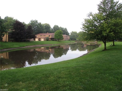 26669 Lake of the Falls Blvd unit 26669, Olmsted Falls, OH 44138 - photo 5