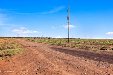 1915 E Antelope Vista, Valle, AZ 86046 - photo 3