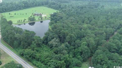 Aerial overview of property's location featuring a forest and a large body of water
